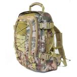Cactus Jack Field Expandable Backpack